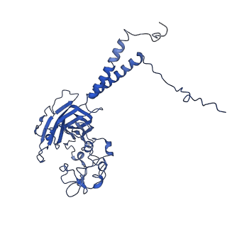 30829_7drx_B_v1-1
Cryo-EM structure of Dnf1 from Saccharomyces cerevisiae in 90PS with beryllium fluoride (E2P state)