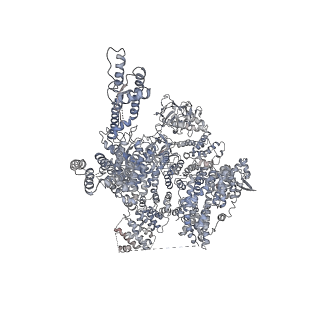 7987_6dr0_A_v1-1
Class 5 IP3-bound human type 3 1,4,5-inositol trisphosphate receptor