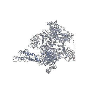 7987_6dr0_B_v1-1
Class 5 IP3-bound human type 3 1,4,5-inositol trisphosphate receptor