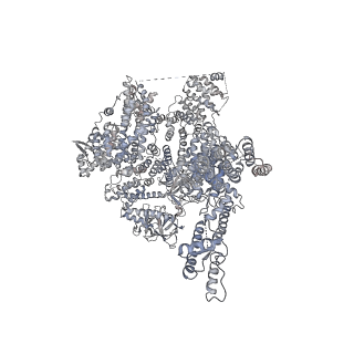 7987_6dr0_C_v1-1
Class 5 IP3-bound human type 3 1,4,5-inositol trisphosphate receptor