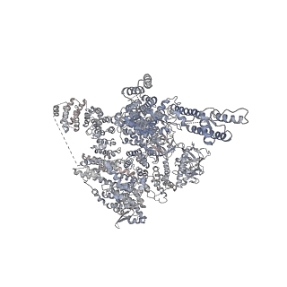 7987_6dr0_D_v1-1
Class 5 IP3-bound human type 3 1,4,5-inositol trisphosphate receptor