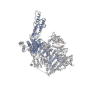 7988_6dr2_A_v1-3
Ca2+-bound human type 3 1,4,5-inositol trisphosphate receptor