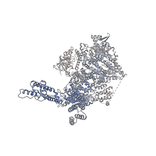 7988_6dr2_B_v1-3
Ca2+-bound human type 3 1,4,5-inositol trisphosphate receptor