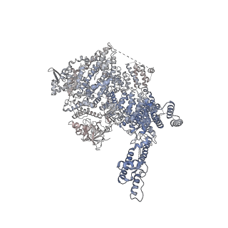 7988_6dr2_C_v1-3
Ca2+-bound human type 3 1,4,5-inositol trisphosphate receptor