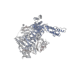7988_6dr2_D_v1-3
Ca2+-bound human type 3 1,4,5-inositol trisphosphate receptor