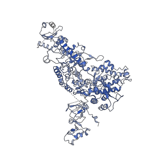 7997_6drd_A_v1-1
RNA Pol II(G)