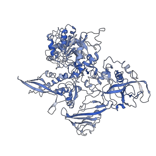 7997_6drd_B_v1-1
RNA Pol II(G)
