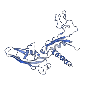 7997_6drd_C_v1-1
RNA Pol II(G)