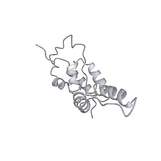 7997_6drd_D_v1-1
RNA Pol II(G)