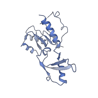 7997_6drd_E_v1-1
RNA Pol II(G)