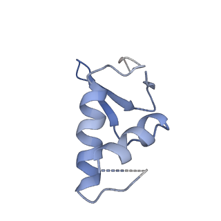7997_6drd_F_v1-1
RNA Pol II(G)