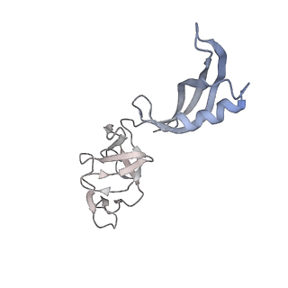 7997_6drd_G_v1-1
RNA Pol II(G)