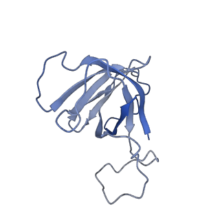 7997_6drd_H_v1-1
RNA Pol II(G)