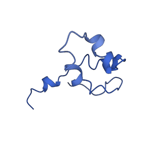 7997_6drd_J_v1-1
RNA Pol II(G)