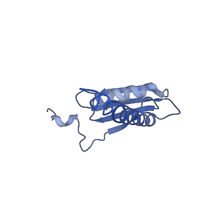 7997_6drd_K_v1-1
RNA Pol II(G)