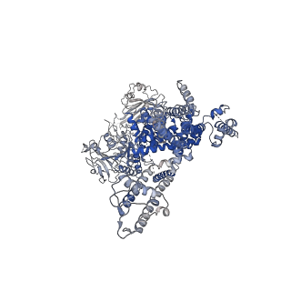 8901_6drk_A_v1-2
Structure of TRPM2 ion channel receptor by single particle electron cryo-microscopy, Apo state