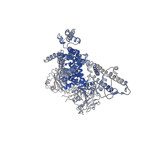 8901_6drk_B_v1-2
Structure of TRPM2 ion channel receptor by single particle electron cryo-microscopy, Apo state