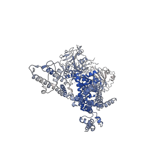8901_6drk_D_v1-2
Structure of TRPM2 ion channel receptor by single particle electron cryo-microscopy, Apo state