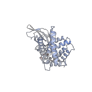 27684_8ds6_A_v1-0
Structure of the PEAK3 pseudokinase homodimer