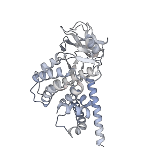 27684_8ds6_B_v1-0
Structure of the PEAK3 pseudokinase homodimer
