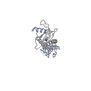 27687_8dsa_D_v1-2
LRRC8A:C in MSP1E3D1 nanodisc