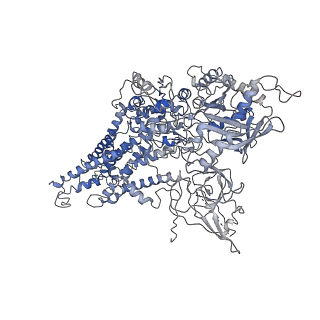 30833_7dsh_A_v1-1
Cryo-EM structure of Dnf1 from Saccharomyces cerevisiae in 90PS with AMPPCP (E1-ATP state)