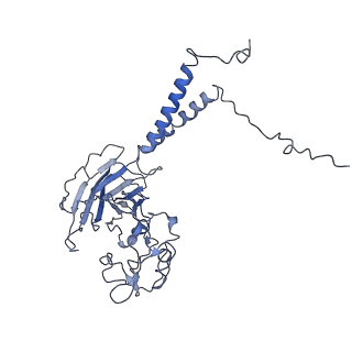 30833_7dsh_B_v1-1
Cryo-EM structure of Dnf1 from Saccharomyces cerevisiae in 90PS with AMPPCP (E1-ATP state)