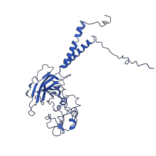 30834_7dsi_B_v1-2
Cryo-EM structure of Dnf1 from Saccharomyces cerevisiae in yeast lipids with AMPPCP ( resting state )