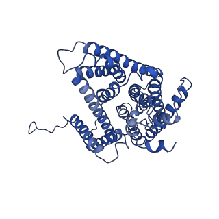 30848_7dsw_A_v1-0
Structure of a human NHE1-CHP1 complex under pH 7.5