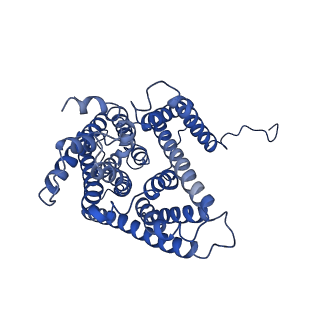 30848_7dsw_B_v1-0
Structure of a human NHE1-CHP1 complex under pH 7.5