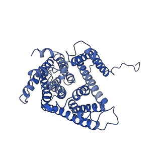 30848_7dsw_B_v1-1
Structure of a human NHE1-CHP1 complex under pH 7.5