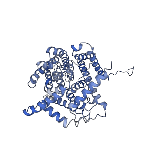 30849_7dsx_B_v1-1
Structure of a human NHE1-CHP1 complex under pH 7.5, bound by cariporide