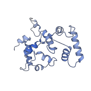 30849_7dsx_D_v1-1
Structure of a human NHE1-CHP1 complex under pH 7.5, bound by cariporide