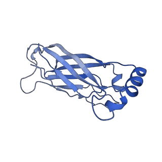 8909_6ds5_A_v1-2
Cryo EM structure of human SEIPIN