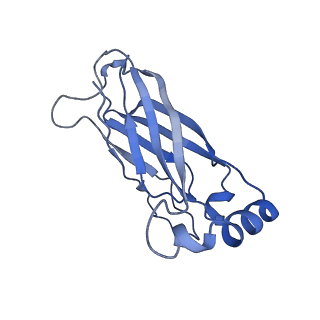 8909_6ds5_B_v1-2
Cryo EM structure of human SEIPIN