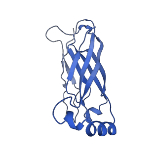 8909_6ds5_C_v1-2
Cryo EM structure of human SEIPIN