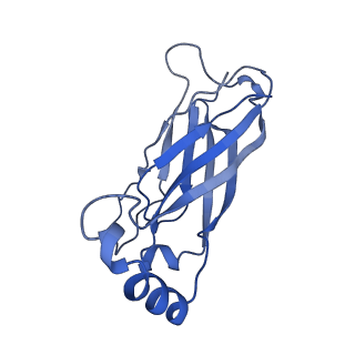 8909_6ds5_D_v1-2
Cryo EM structure of human SEIPIN