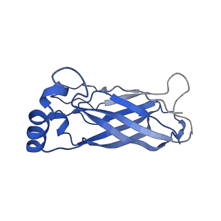 8909_6ds5_F_v1-2
Cryo EM structure of human SEIPIN