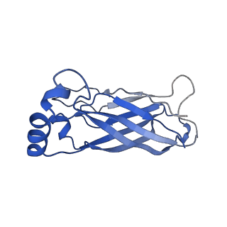 8909_6ds5_F_v2-0
Cryo EM structure of human SEIPIN