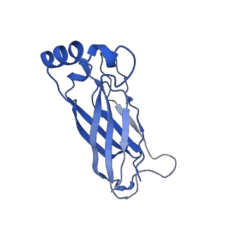 8909_6ds5_H_v1-2
Cryo EM structure of human SEIPIN