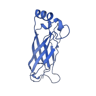 8909_6ds5_I_v1-2
Cryo EM structure of human SEIPIN