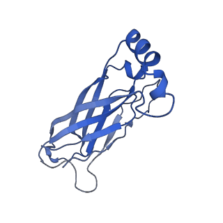 8909_6ds5_J_v1-2
Cryo EM structure of human SEIPIN