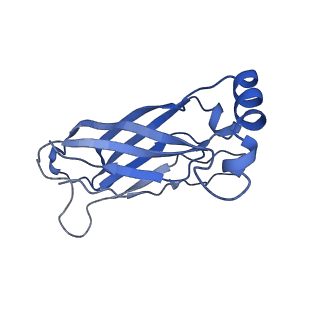 8909_6ds5_K_v2-0
Cryo EM structure of human SEIPIN