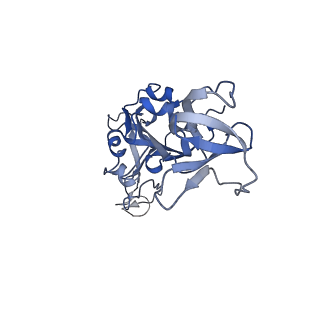 27690_8dt3_C_v1-2
Cryo-EM structure of spike binding to Fab of neutralizing antibody (locally refined)