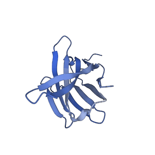 27690_8dt3_H_v1-2
Cryo-EM structure of spike binding to Fab of neutralizing antibody (locally refined)