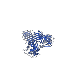 27692_8dt8_A_v1-0
LM18/Nb136 bispecific tetra-nanobody immunoglobulin in complex with SARS-CoV-2-6P-Mut7 S protein (focused refinement)