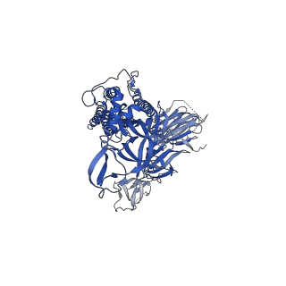 27692_8dt8_B_v1-0
LM18/Nb136 bispecific tetra-nanobody immunoglobulin in complex with SARS-CoV-2-6P-Mut7 S protein (focused refinement)