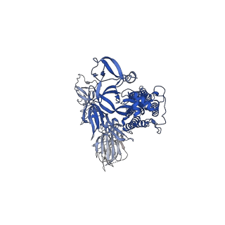 27692_8dt8_C_v1-0
LM18/Nb136 bispecific tetra-nanobody immunoglobulin in complex with SARS-CoV-2-6P-Mut7 S protein (focused refinement)