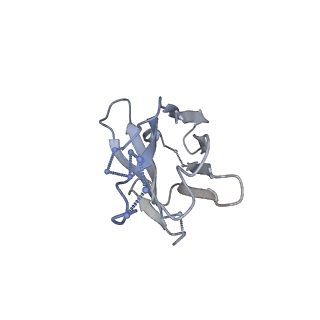 27692_8dt8_D_v1-0
LM18/Nb136 bispecific tetra-nanobody immunoglobulin in complex with SARS-CoV-2-6P-Mut7 S protein (focused refinement)