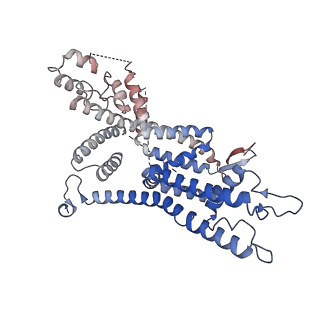 27695_8dtb_D_v1-2
Focus/local refined map in C1 of signal subtracted RyR1 particles in complex with ImperaCalcin